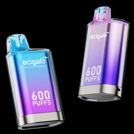 一次性電子煙（600Puffs 2ml E-liquid capacity）